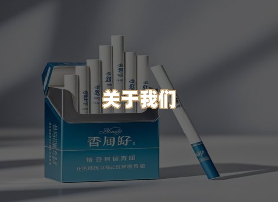 关于御龙烟网